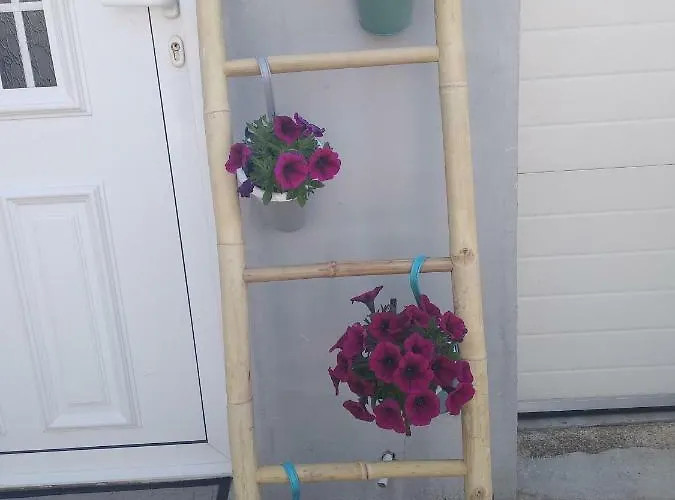 Ban Σίμπενικ